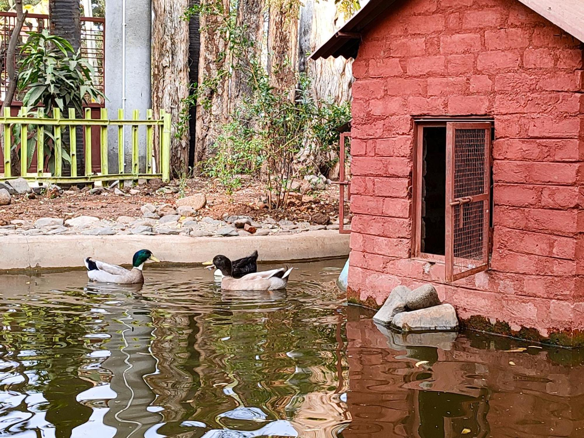 Van Vagdo Resort Rajpipla Zewnętrze zdjęcie