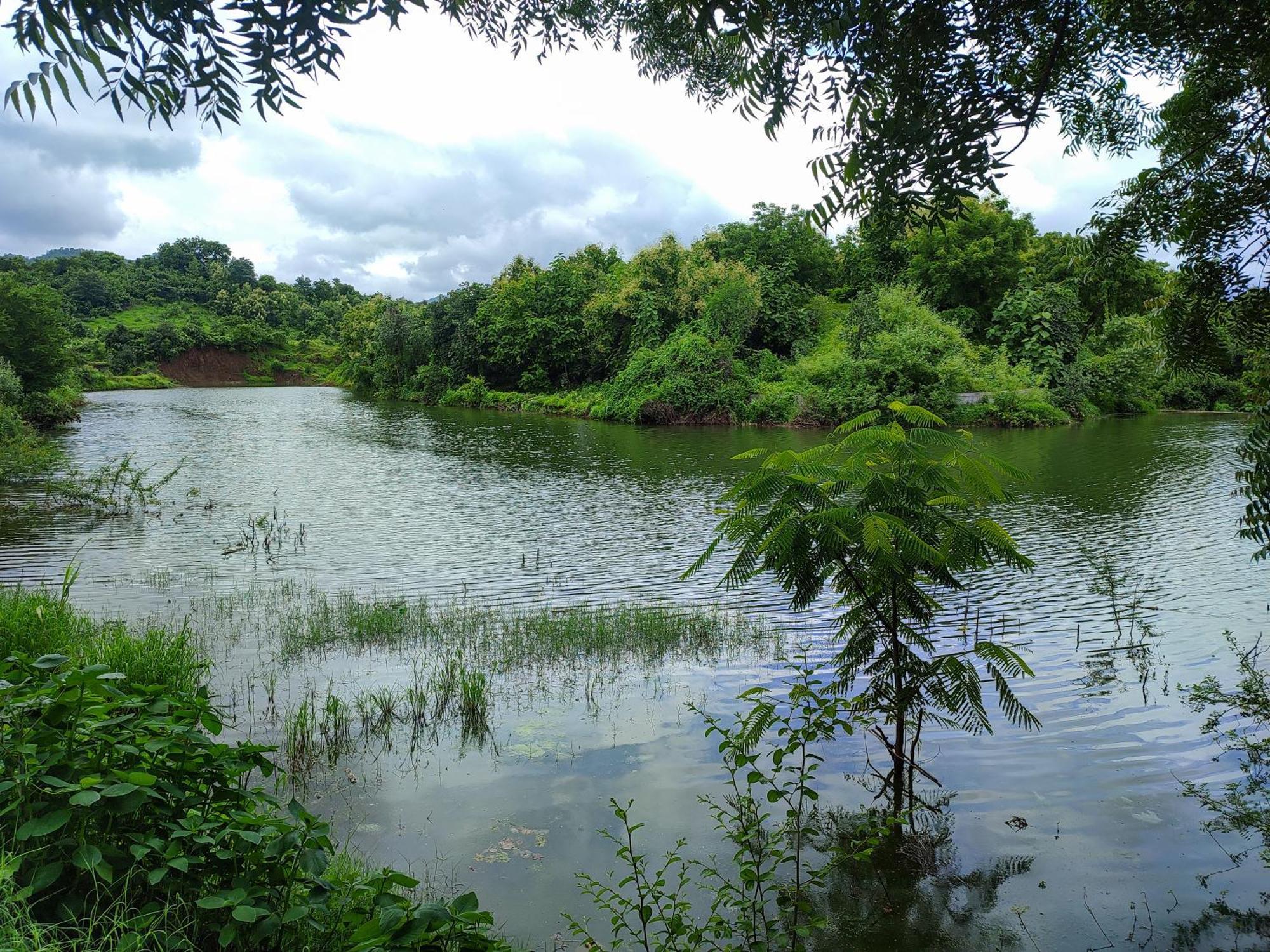 Van Vagdo Resort Rajpipla Zewnętrze zdjęcie